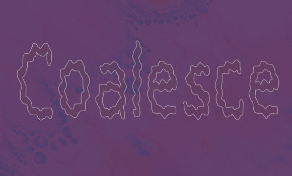 Coalesce: The Wavy Display Typeface That Pops in Campaigns