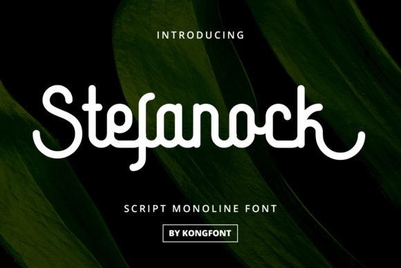 Stefanock: A Playful Display Font That Elevates Real Small Business Branding